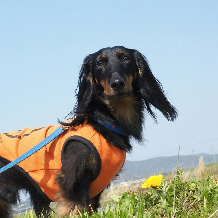 B629cf46 f983 4978 98de ce226b1873e1 1522890863543