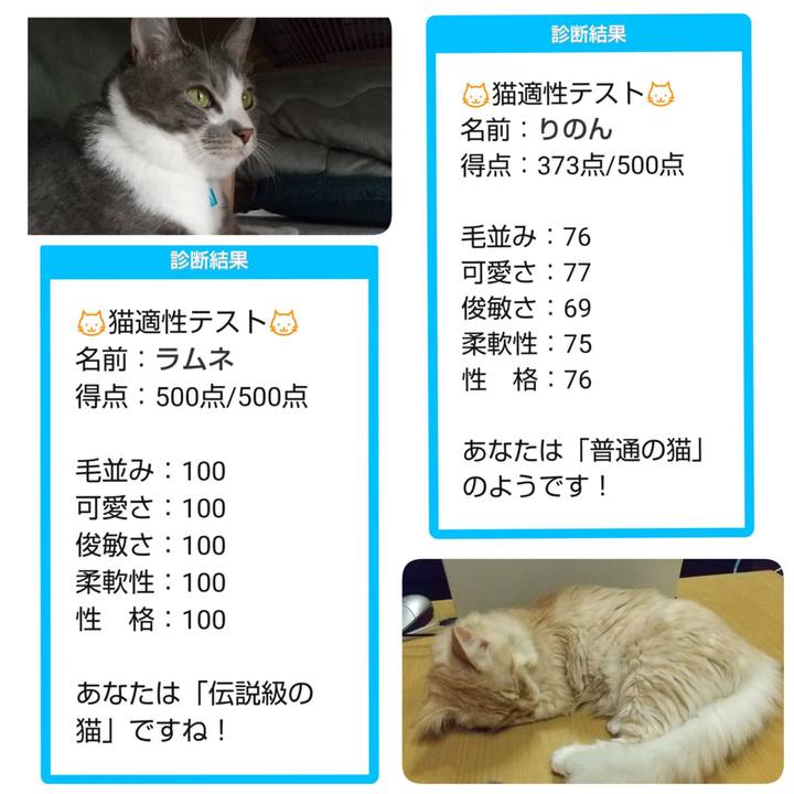 B629d728 f007 4de3 a285 de54d455dc89 1614290930381