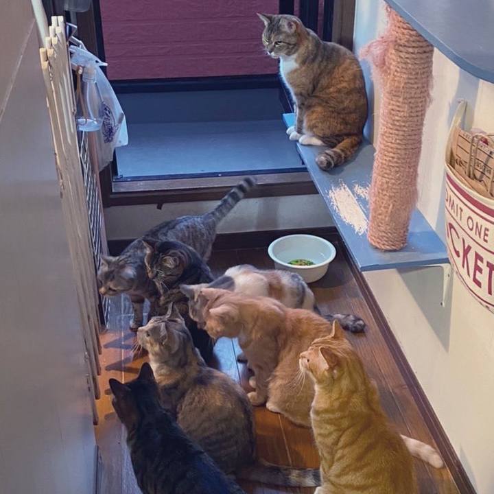 B629e3fd 17be 435d 9b32 306ba0fb7cbf 1621332611306