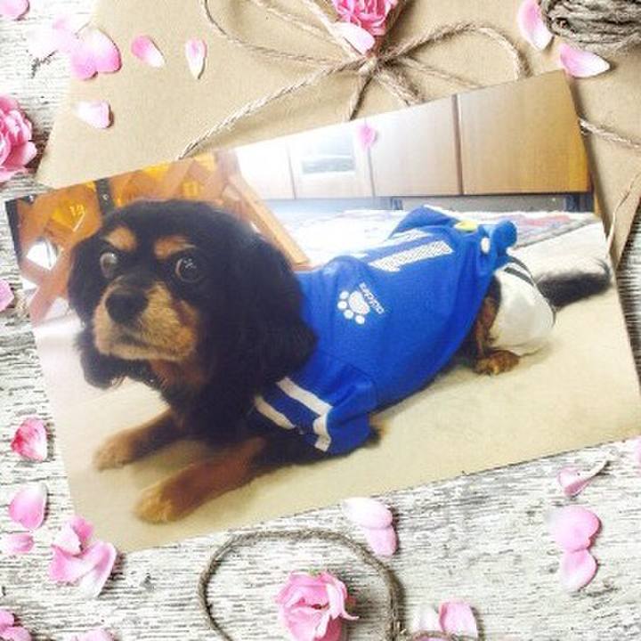 B62a23c1 fad6 4806 8a41 00b2965be422 1515768068969