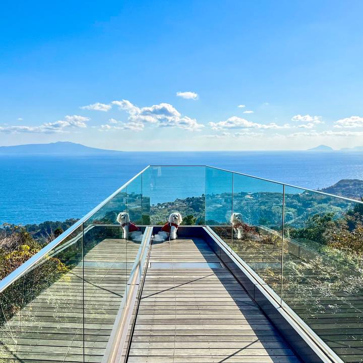 B62ab0ab 7bb3 448e 9728 173d2ee013d8 1670990303055