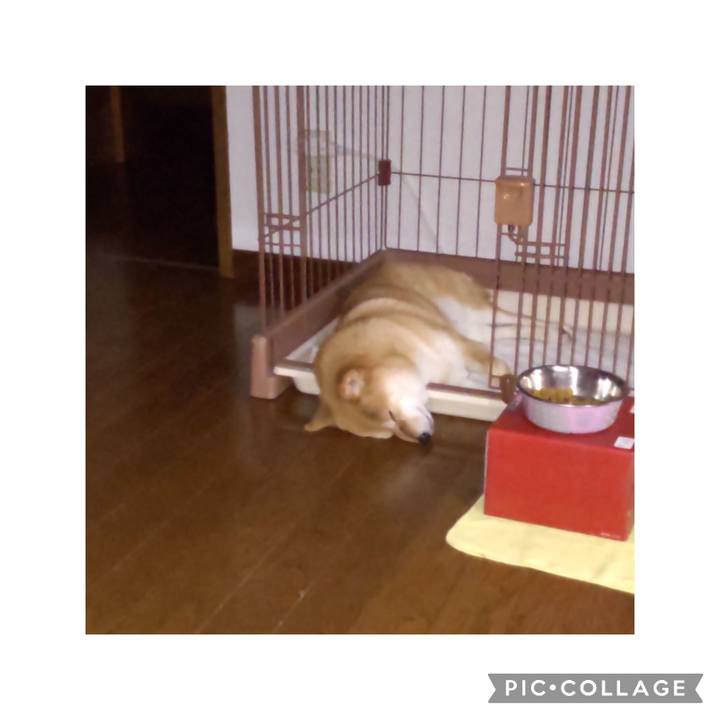 B62ab1c4 8de0 446d a19f 2df7212058a6 1687001305942