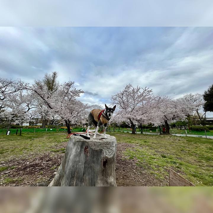 B62ad963 c25f 445c bf7c e045beea75ef 1648975713614