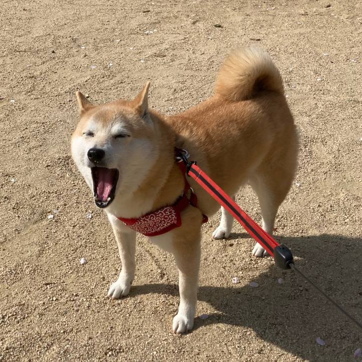 B62b3031 a8e7 4477 886c 3857aae13596 1617340726987