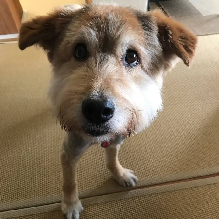 B62b321f 67b5 41f7 a3c7 ed12297ba0f9 1594035333010