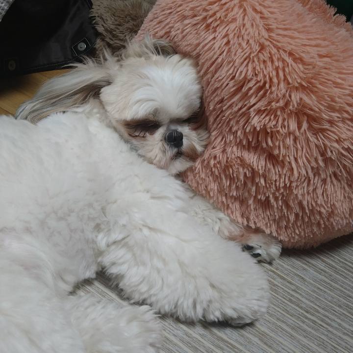 B62b3a2d 3474 4213 b9e6 4e008c1fd50c 1620476917623