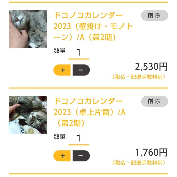 B62b3b6e a460 482f a85c 8f85b8066859 1667701136297