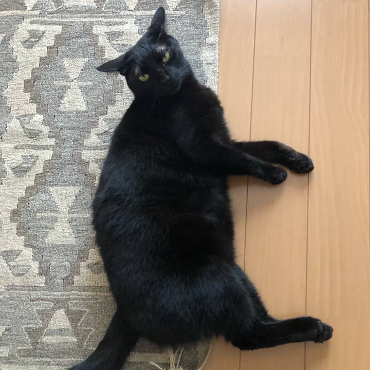 B62b60f7 e48d 4013 8008 198262bb6e78 1539504528090