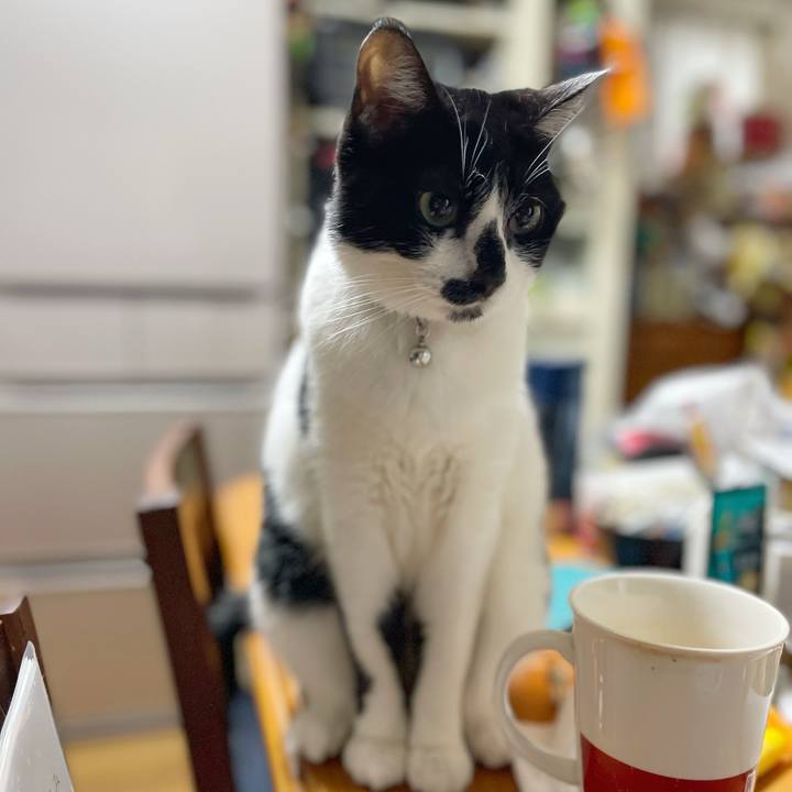 B62b687a 7a0c 40a8 9ed8 e40e98766c4a 1770775174654