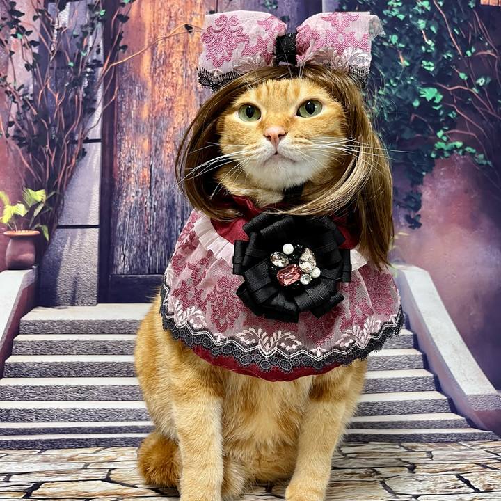 B62b708c a896 49b0 a993 24ffcf26e700 1695075806824