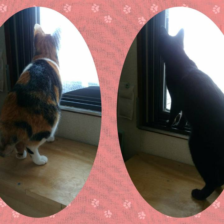 B62b70b4 3f01 4af9 8166 91f9736dcc90 1526780892710