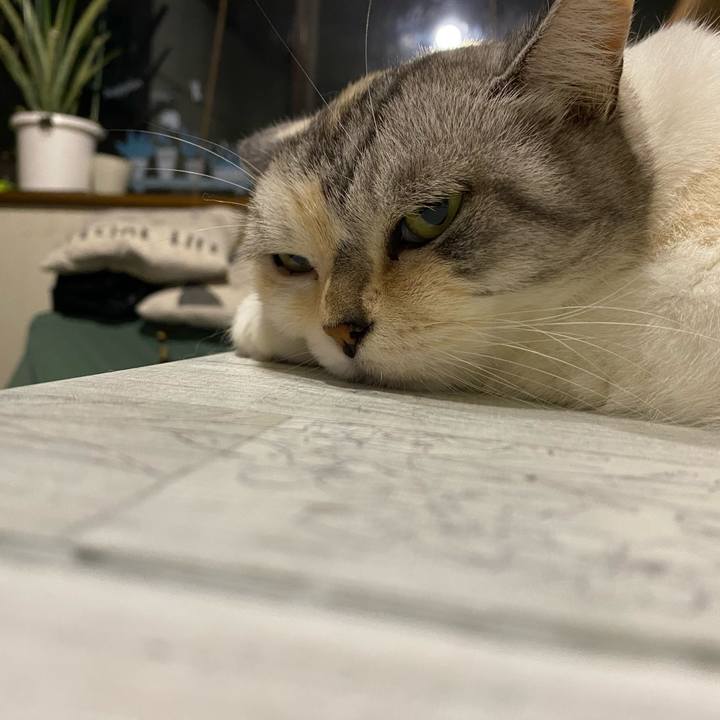 B62b83be cfc3 4b46 bd2a 3ac355ceef4f 1663519365894