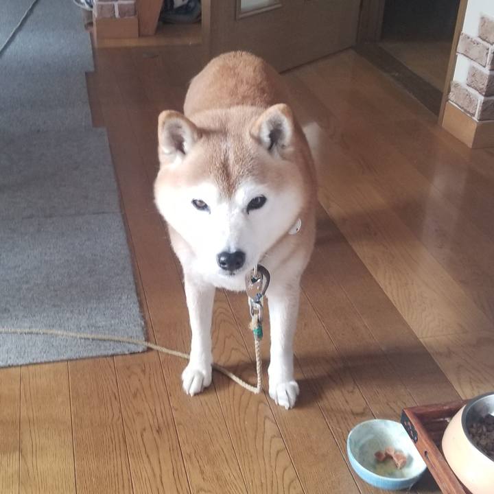 B62b96a5 9f48 42fc ab7d b44bb1d34c64 1667619846893