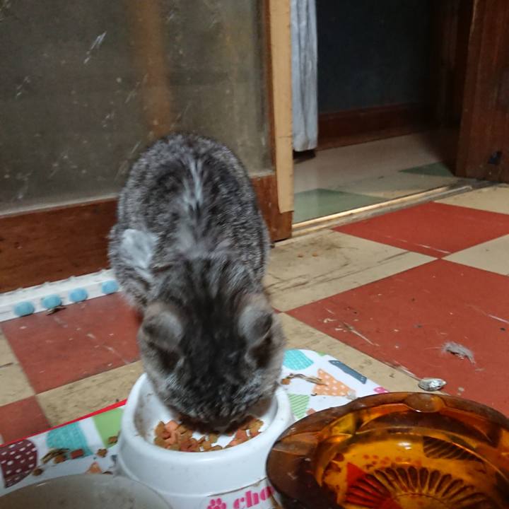 B62bba54 bf86 4901 b52c 86f09b6db72f 1591704690901