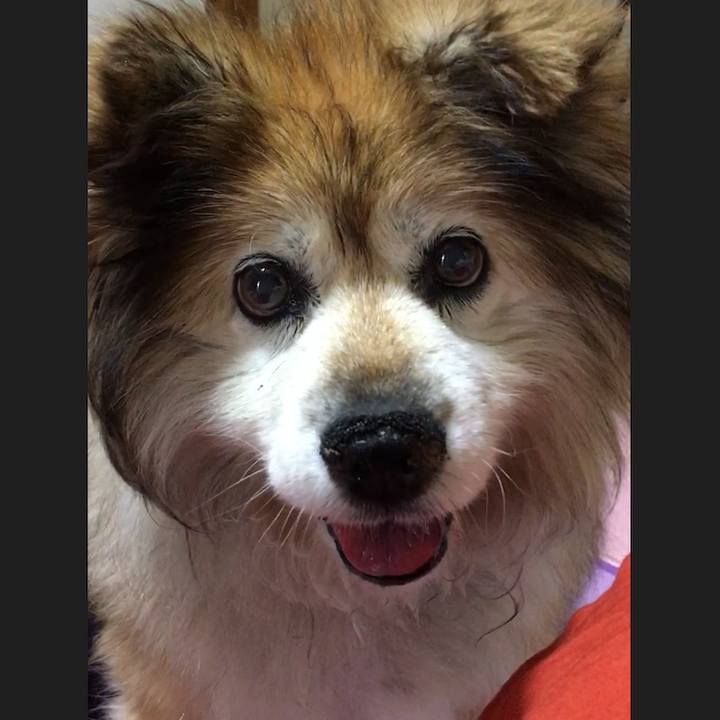 B62bd280 b52d 4fd4 ba1a 44e13160492a 1557444026567