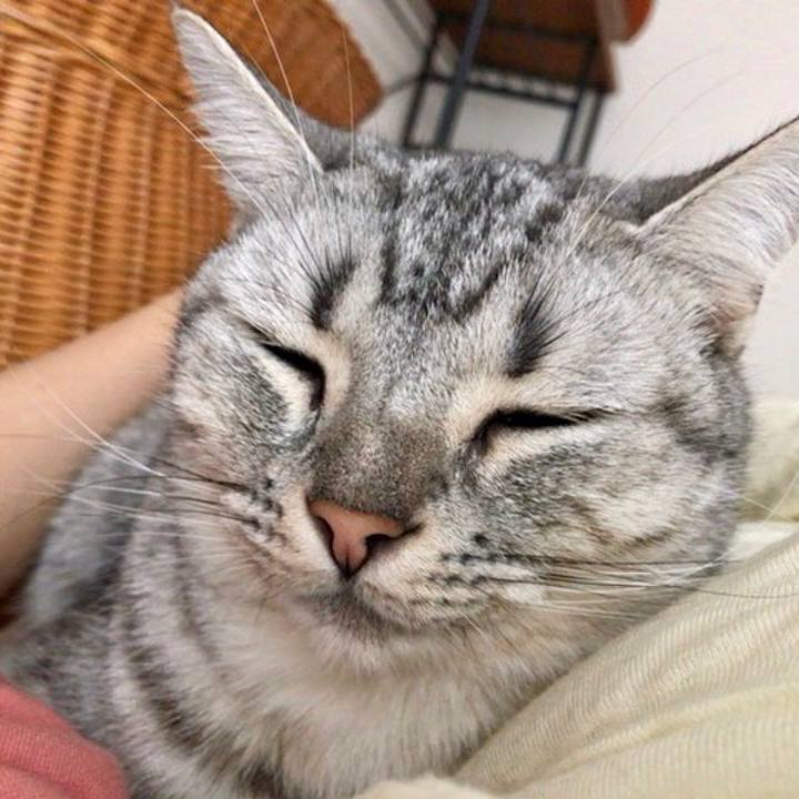 B62c193b 25df 4d36 9fc2 55f60ab14e99 1541212560962