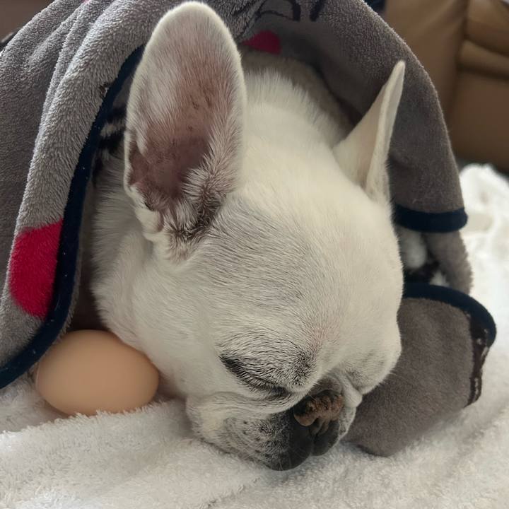 B62c2902 9d5e 43e0 ade9 668247955f9d 1769925797580