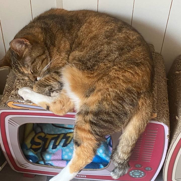 B62c4e49 f15d 4078 8d45 afa4c4954063 1649821907637