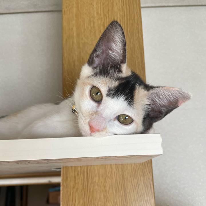 B62c62f4 dfa5 4cdf 9511 fd833fa1589a 1659050562118