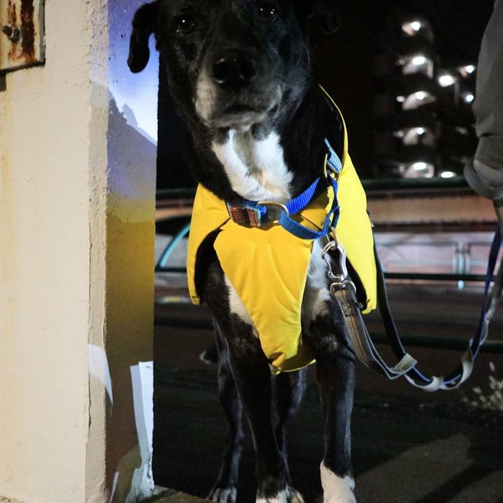 B62c6985 40c0 4dde b746 fbebf650f64a 1763044638066