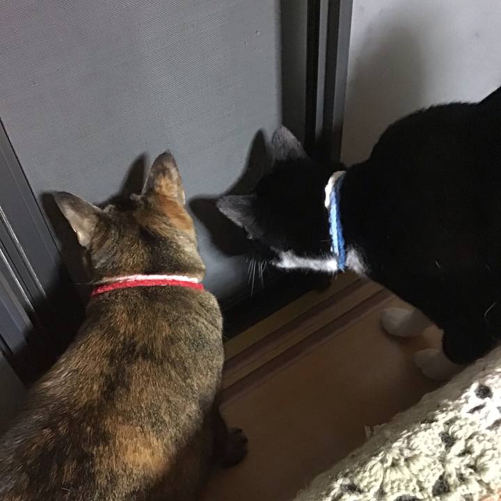 B62c7c8e a203 49d0 aedd 3ac220925456 1679659302574