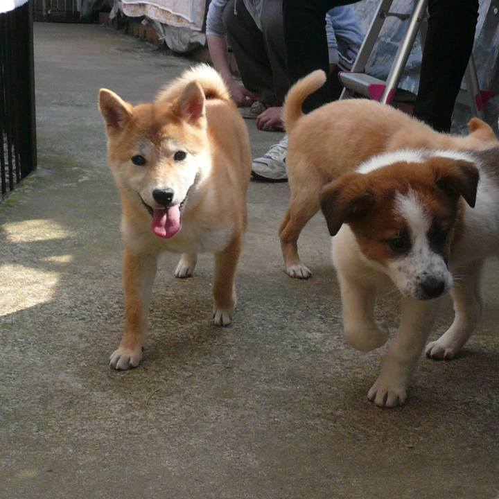 B62cc9ab c9d1 4c5f 910a 4a9570ba4650 1548571789150