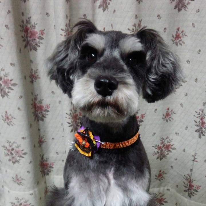 B62d33bc 2811 47db b9e4 2193d7db4da6 1652768422216