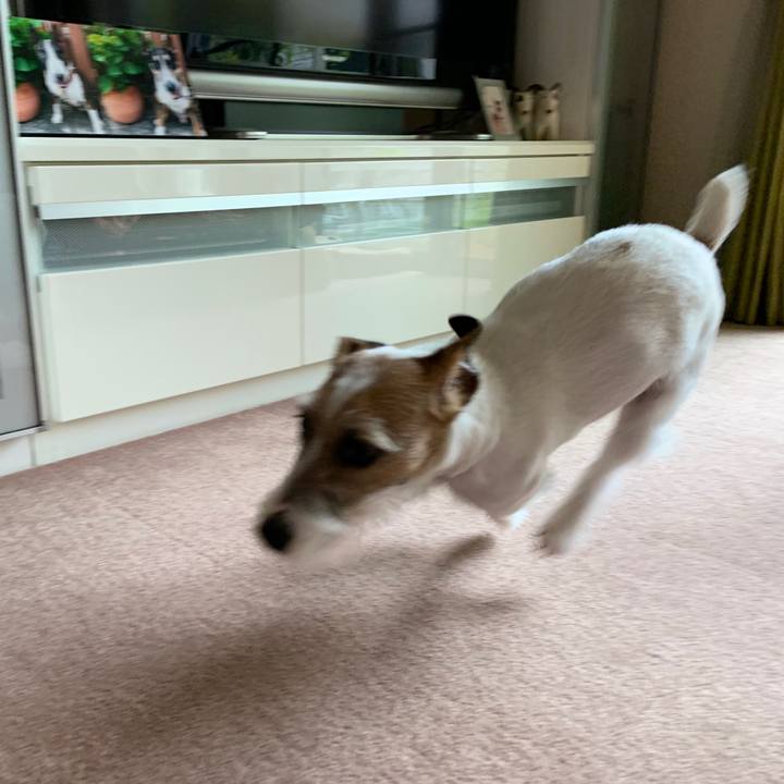 B62d63e9 491b 48fc 8126 02d3588afa92 1587103701065