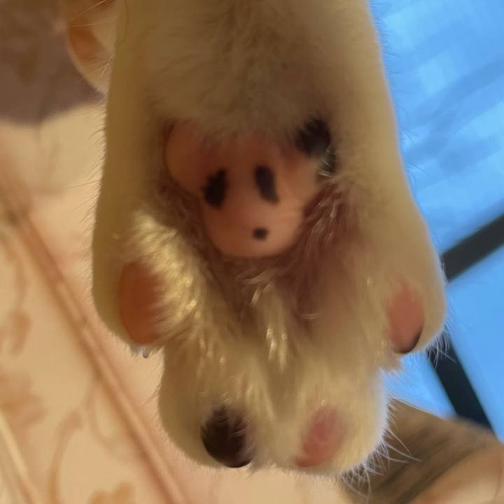 B62d6a19 4fdd 41ec a24e ae7f4d2e3892 1676278376777