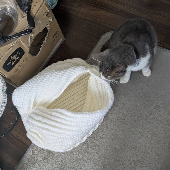 B62d9cf5 e5eb 44dc b3ea ae41a99ccf36 1768273255602