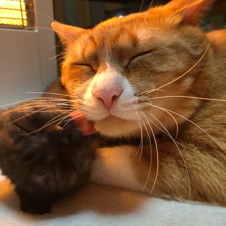 B62dcdee 2de1 467e 9d34 717c0052e04c 1608593810775