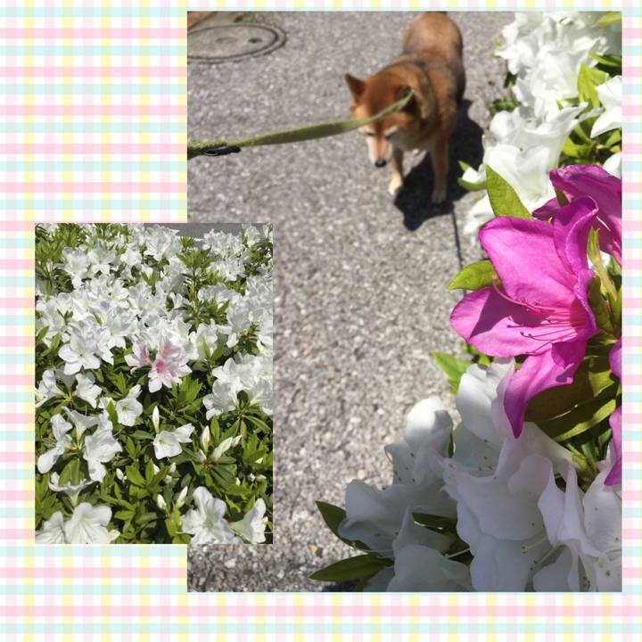 B62e2bbe 308a 4145 aec5 7953722c862b 1587812954873