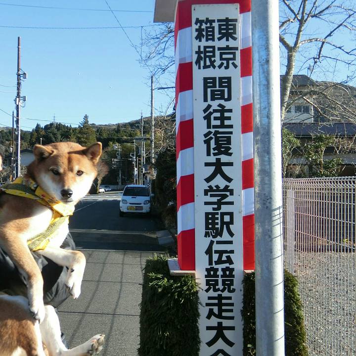 B62ee120 030b 485b accc af9fb441d9ac 1514802972817