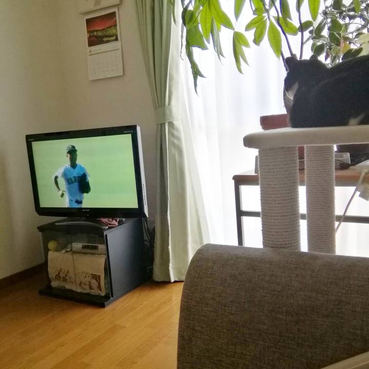 B62ee5e3 cb42 4e68 b664 e5c190a4880e 1565769613777