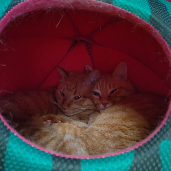 B62f1877 9d12 4086 98d6 59a3136eeb9f 1634110523539