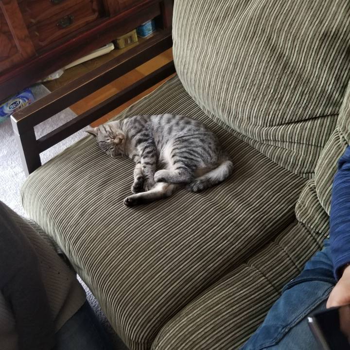 B62f1b9e 4570 4146 b36a ed8b598d3a61 1668351608035