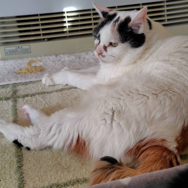 B62f1c17 9aff 4615 a88e d3e454dfc001 1762924866977