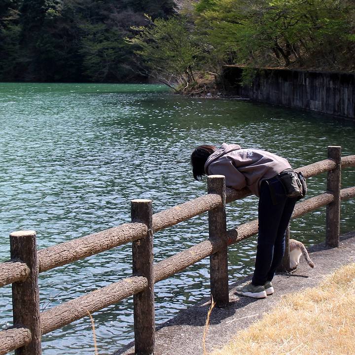 B62f31f5 9351 42c4 bc0d c475942f3d68 1635464372183