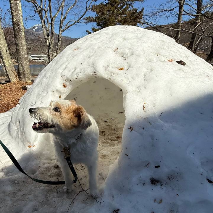 B62f7b36 0da6 4266 ab48 e01fd9f1ebe8 1771745146941