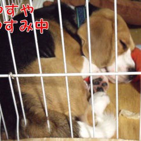 B62fa0f5 2e6c 4b4e 8587 9e69ac9ce7c8 1697674493242