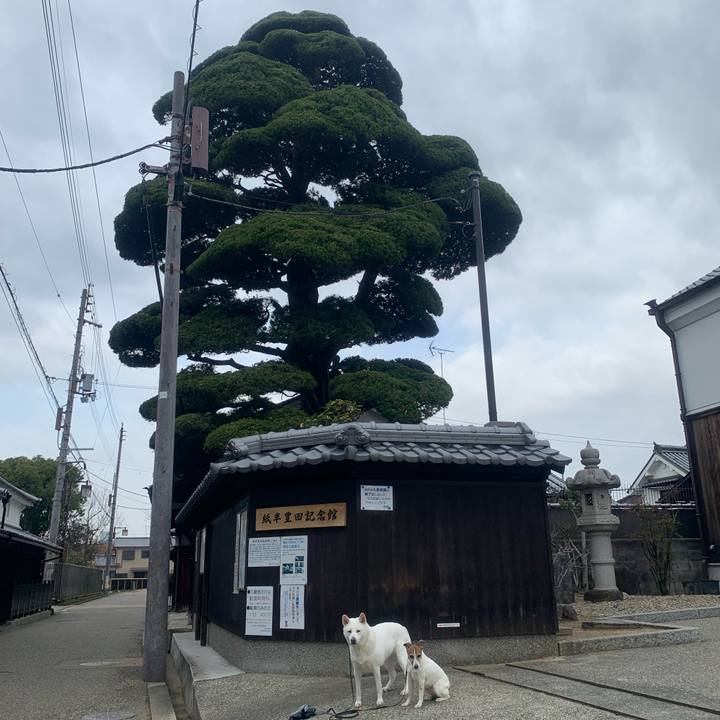 B62faa35 7863 4d5c 8e53 f98aa5869110 1553316682949