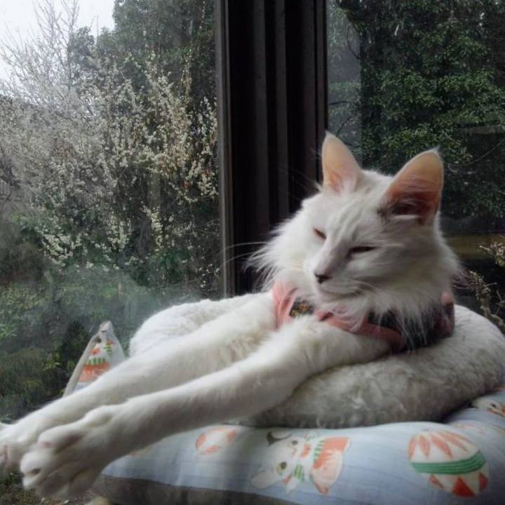 B62fb71d 30cf 4d00 b05e ad04af2a67af 1678776477767