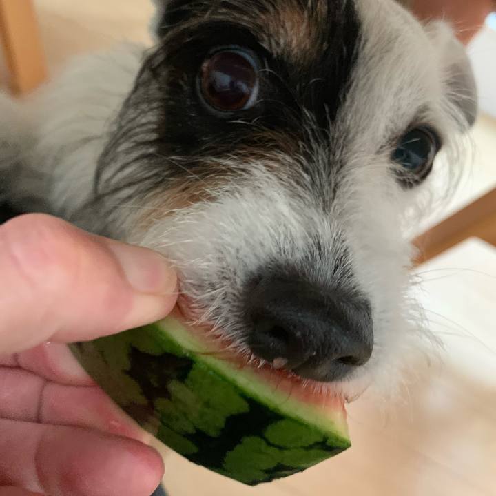 B62fe1df c8e7 4bab a228 0fb662de4c4b 1688298815319