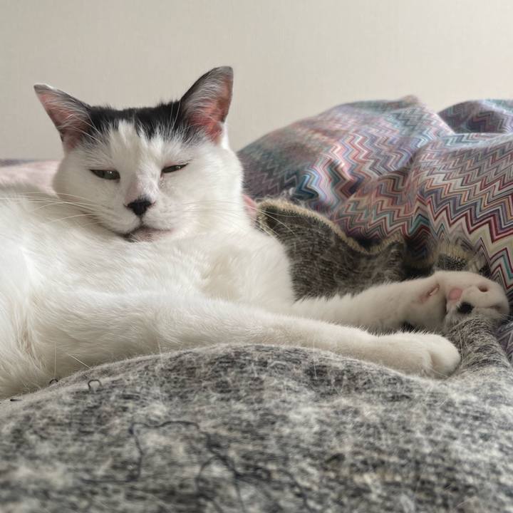 B62fecee c5f6 4929 afba 5d410e2a1387 1668230665605