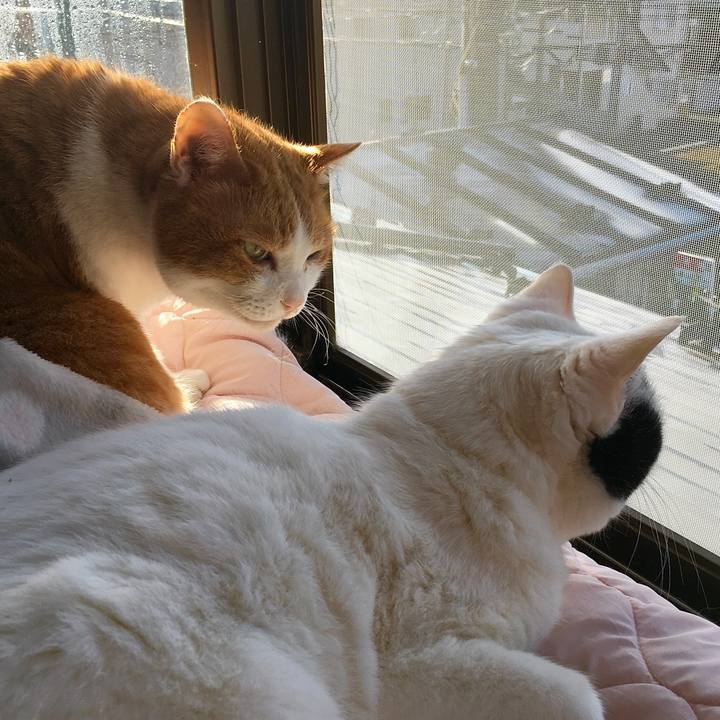 B62ffec1 067e 41f6 a8f8 0efd1b0c7666 1611642461105