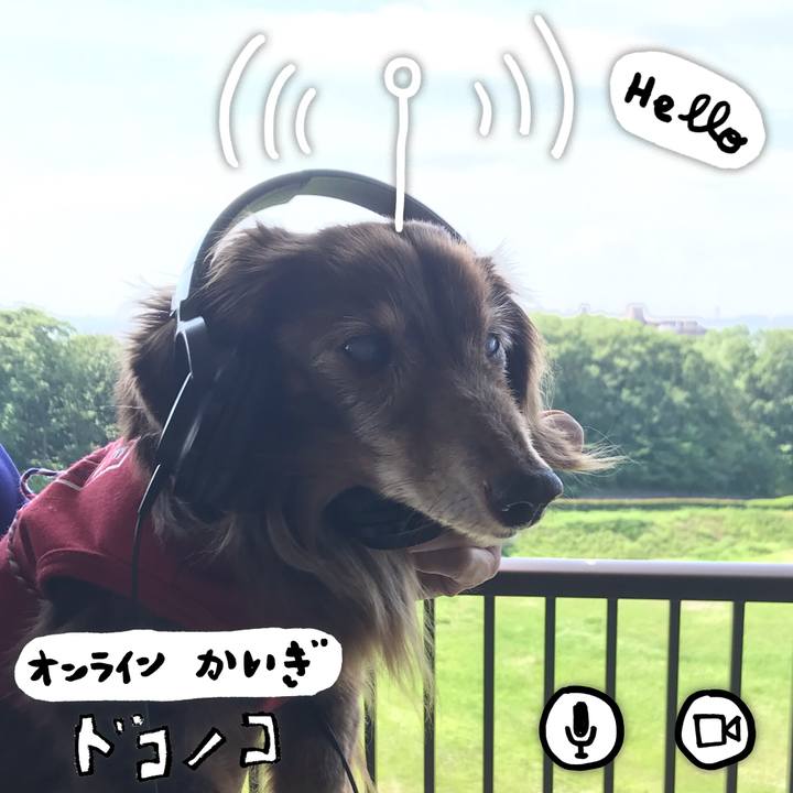 B6302ca8 340c 4530 80a1 c7777fb003eb 1590798347576