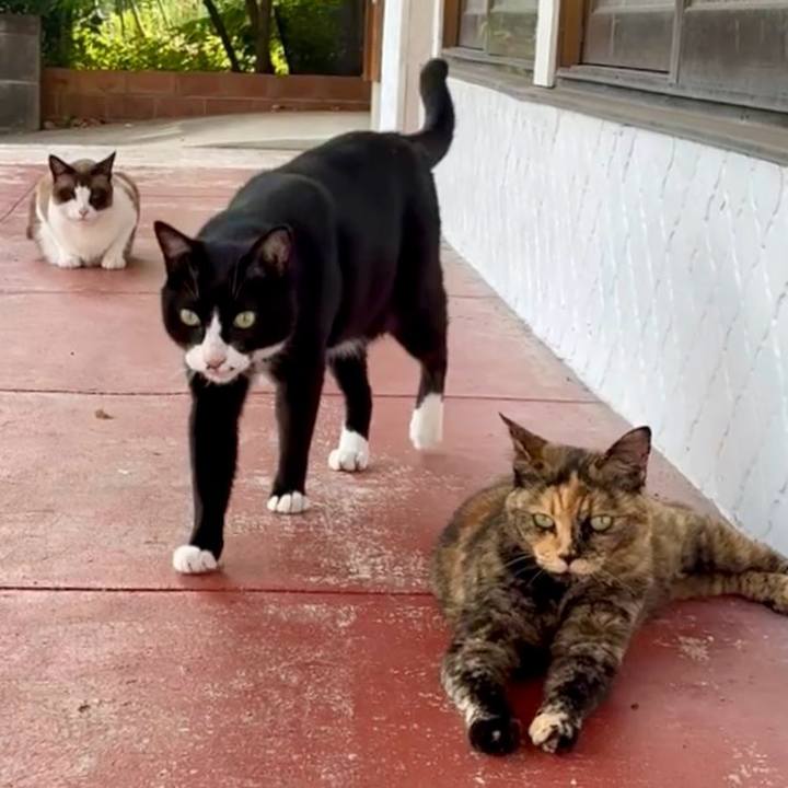 B6303545 295e 4149 80a5 0e6b408709bf 1751544439766