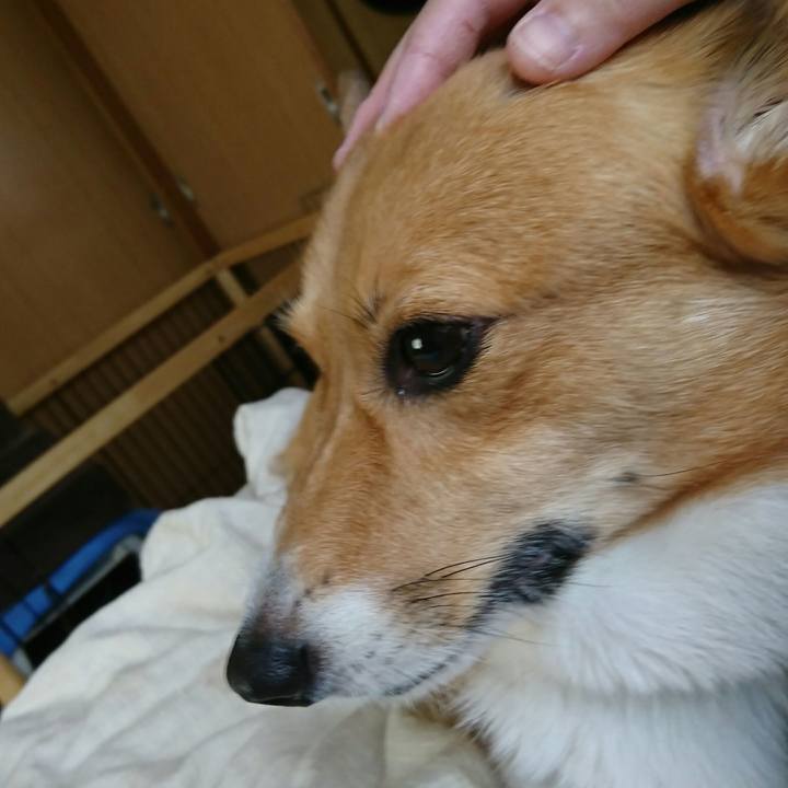 B6303732 d920 46ac bbb4 26c2f7df0b9f 1509764478099