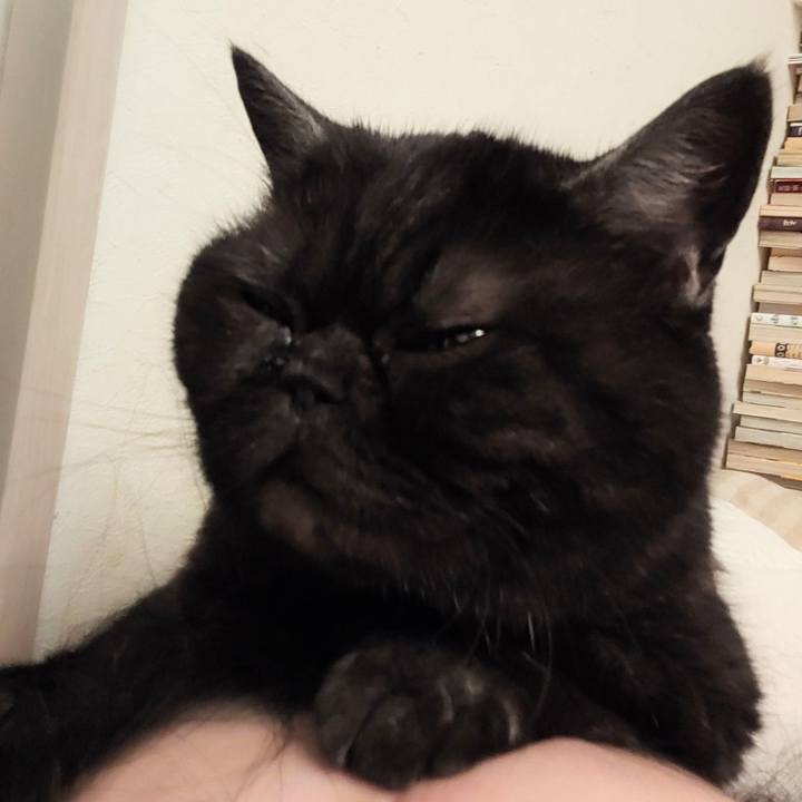 B6304ad7 3a3f 4911 9bb1 0030e9c1a1f1 1616850968223