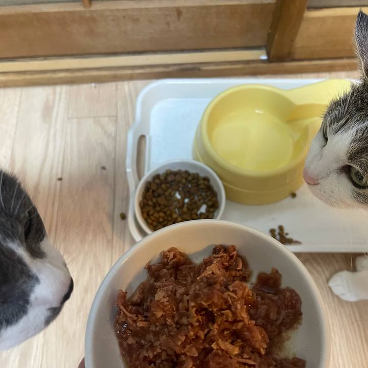 B63067b3 8443 4d6b b77c 65e9f6366a34 1625050030723